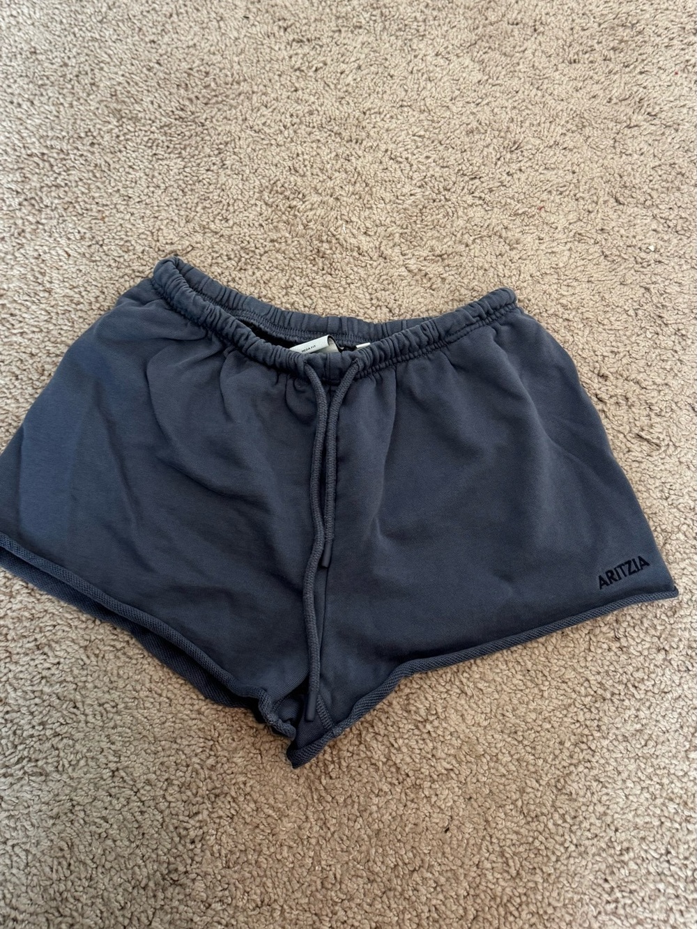 Aritzia Sweat fleece shorts